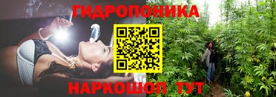 стаф Гатчина