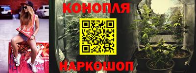 стаф Гатчина