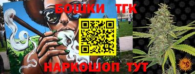 стаф Гатчина