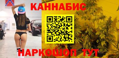 стаф Гатчина