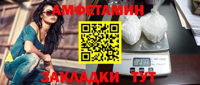 стаф Гатчина