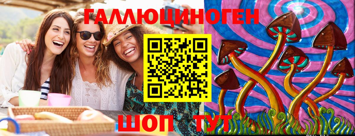 Североморск  Галлюциногенные грибы мухоморы  где можно купить наркотик  Вход с VPN 